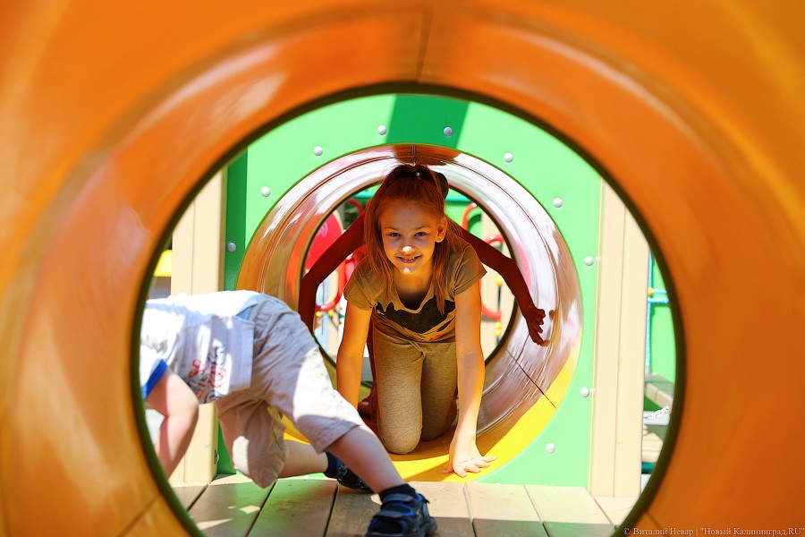 Все мы разные, все мы равные: в Калининграде открыли инклюзивный парк (фото)