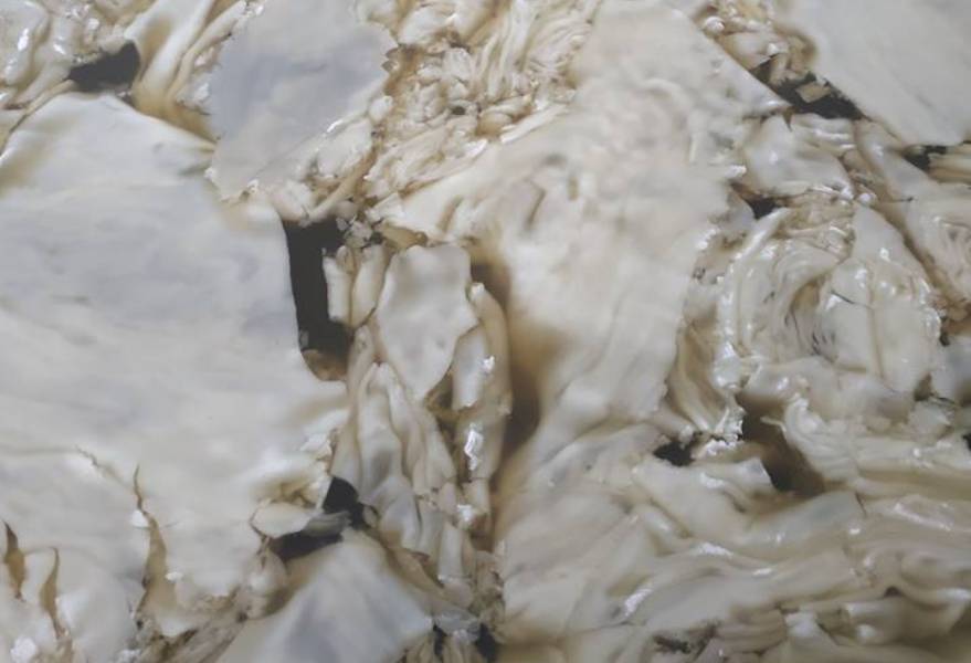 В минприроды пока не знают, что за вещество покрыло Преголю