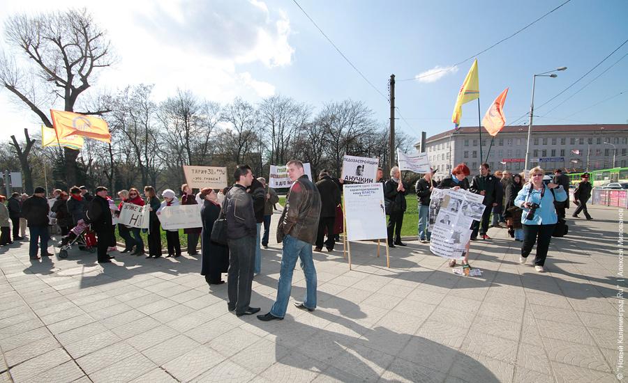 "Педозастройщики и пни во власти": фоторепортаж "Нового Калининграда.Ru"