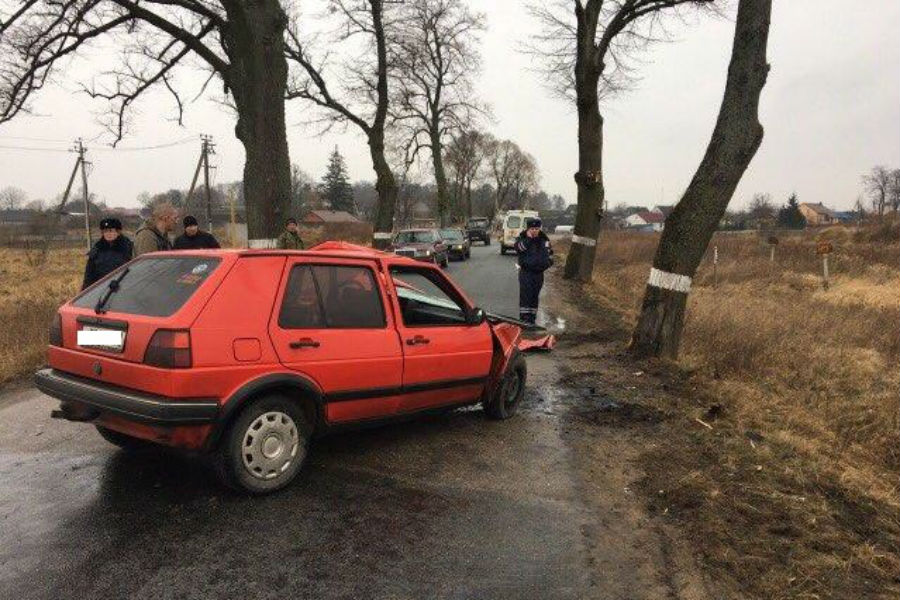 Под Гвардейском «Фольксваген» врезался в дерево, водитель в больнице (фото)