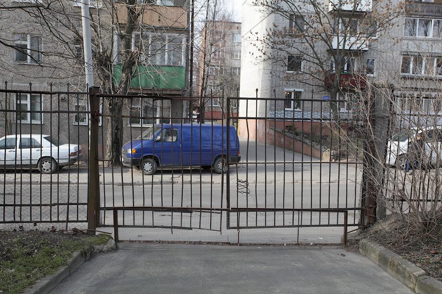 «Собаки уже неделю рвали забор»: что произошло с кенгуру в Калининградском зоопарке