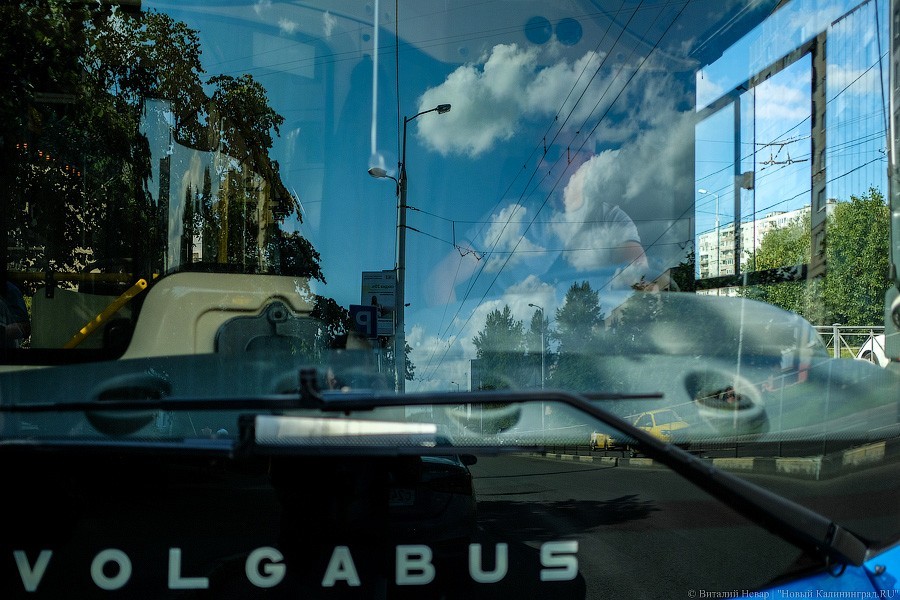 Автобус с розеткой: как в Калининграде испытывают новый вид транспорта