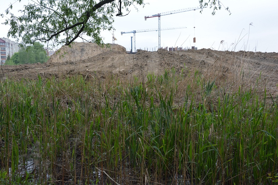 Гора на болоте: в Калининграде засыпают пойму ручья ради строительства жилья (фото)