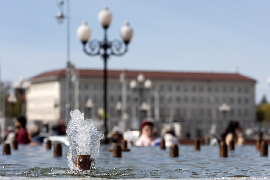 «Быки» и «младенцы»: в Калининграде начался сезон фонтанов (фото)