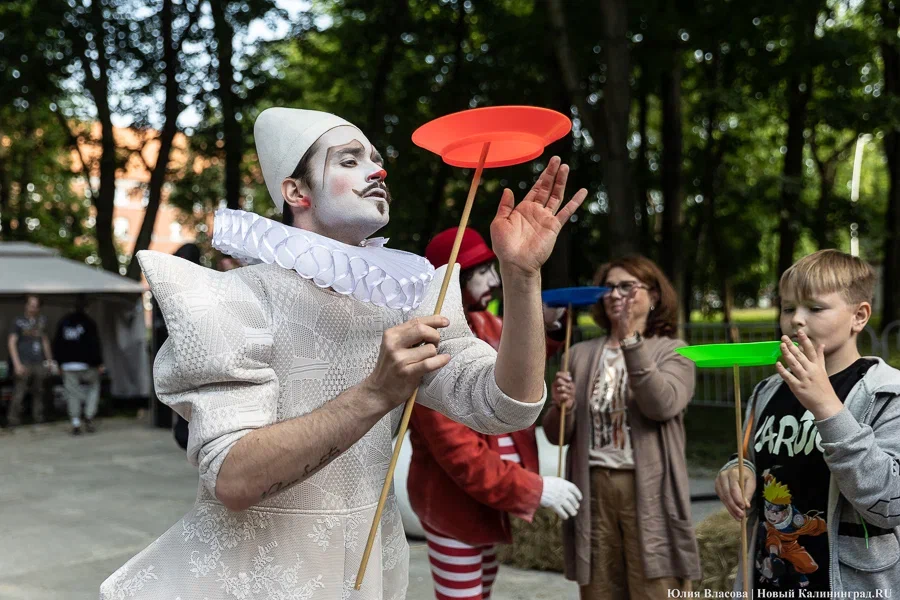 Фото: Юлия Власова / Новый Калининград