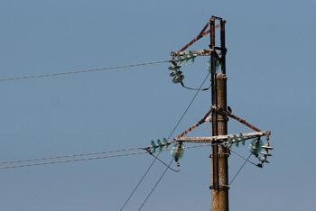 Сильный ветер повредил линию электропередачи в Зеленоградском районе