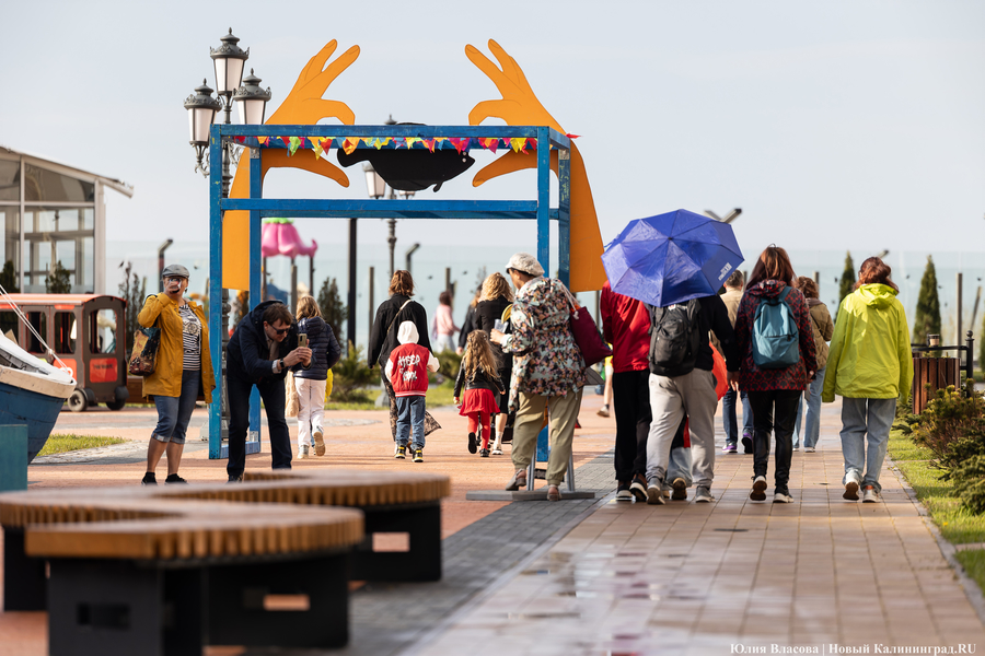 И рыба, и мясо: в Зеленоградске открылся гастрономический «Фиштиваль» (фото)