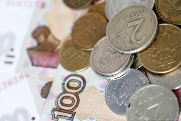 Час «Балтийского долголетия» оценили в 291 рубль 62 копейки