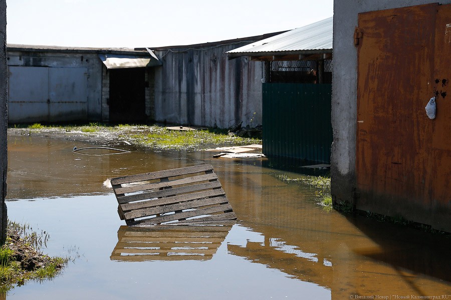 В Калининграде затопило гаражное общество на Острове около стадиона (фото)