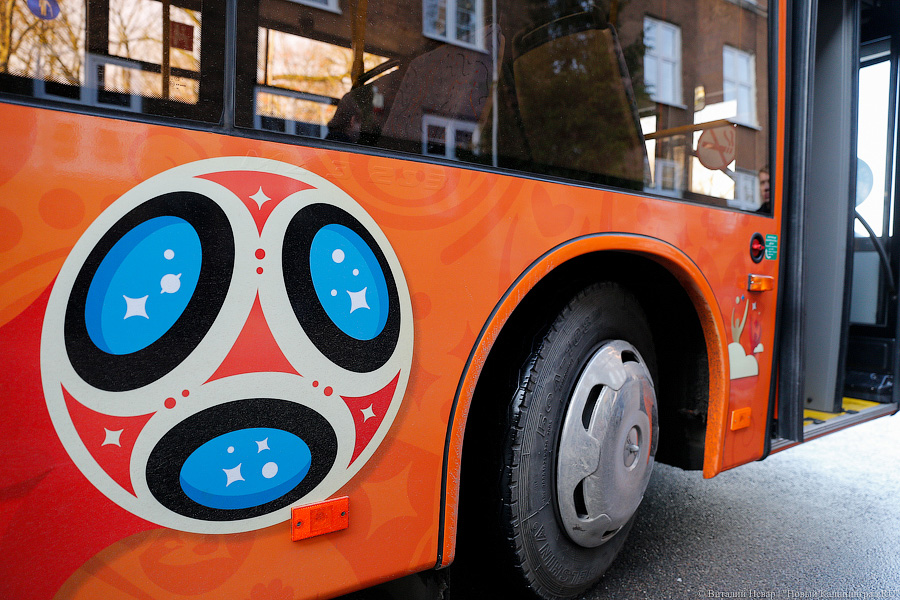 Верхом на трёхглазой змее: на калининградские автобусы нанесли символику ЧМ