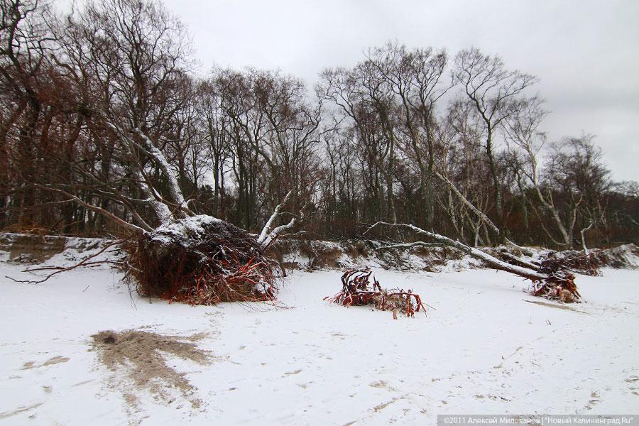 «Нацпарк штормового периода»: фоторепортаж «Нового Калининграда.Ru»