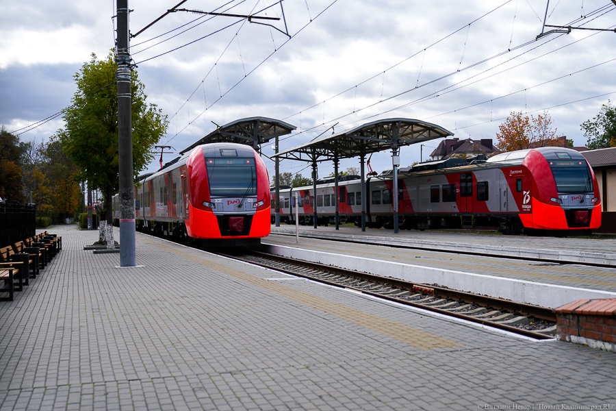 Власти области анонсировали возобновление онлайн-продаж билетов на электричку