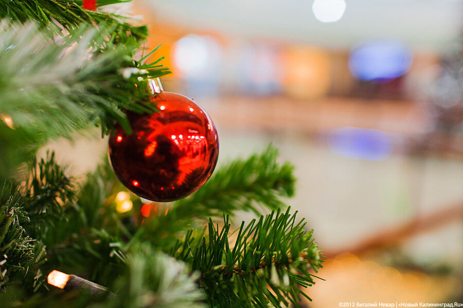 Калининградец украл и спрятал новогоднюю елку, стоявшую у входа в магазин на пр. Мира (видео)
