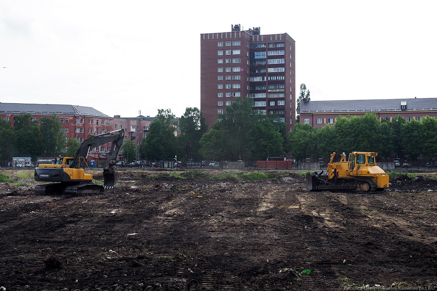 Началась вырубка на территории «Рыбной деревни-2»