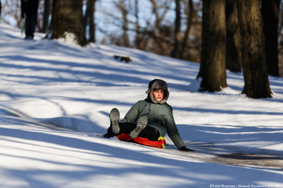 Игры при −20°C: как в Калининграде прошёл День зимних видов спорта