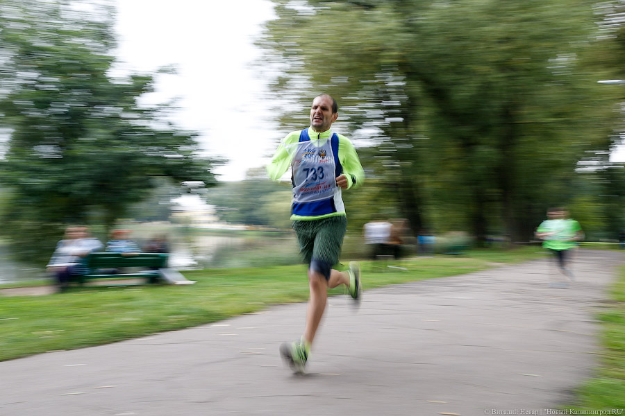 Все бежали, и я побежал: как прошел «Кросс наций» в Калининграде (фото)