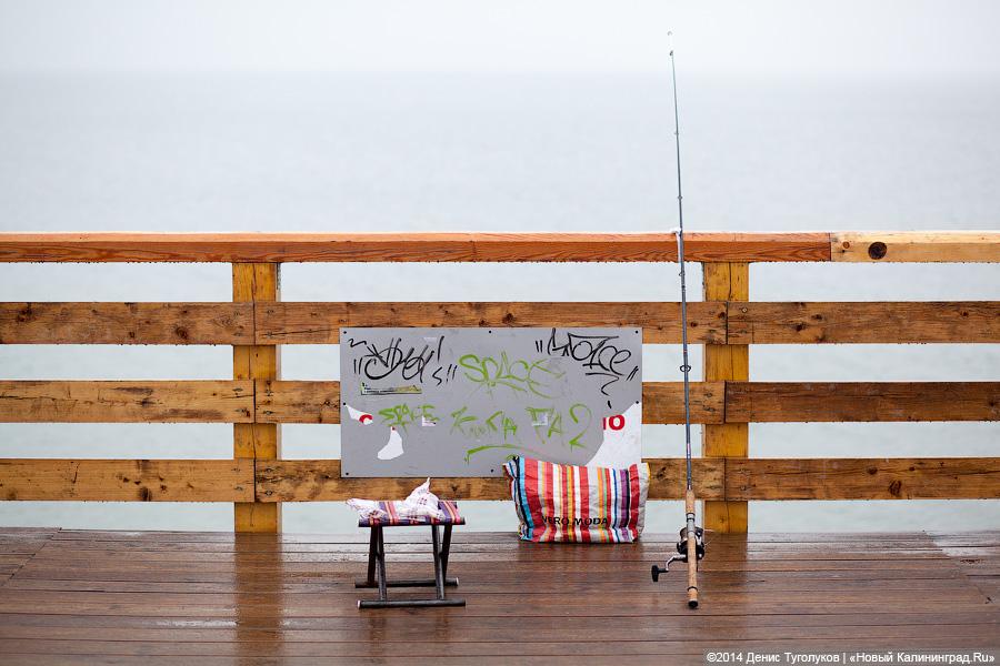 «Жим сидя, коты и обломки»: променад в Зеленоградске в туристическое межсезонье