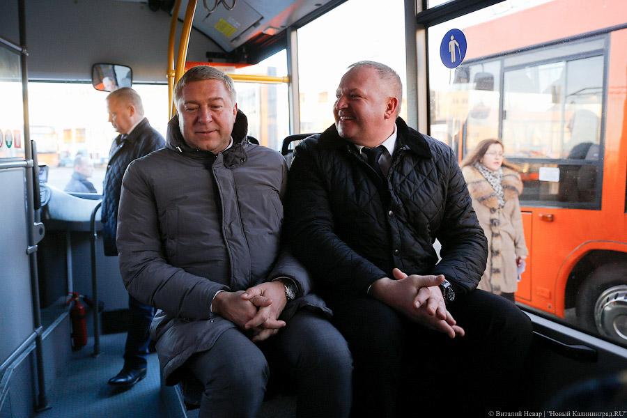 «Сделав шаг»: в Калининграде появились новые низкопольные автобусы (фото)