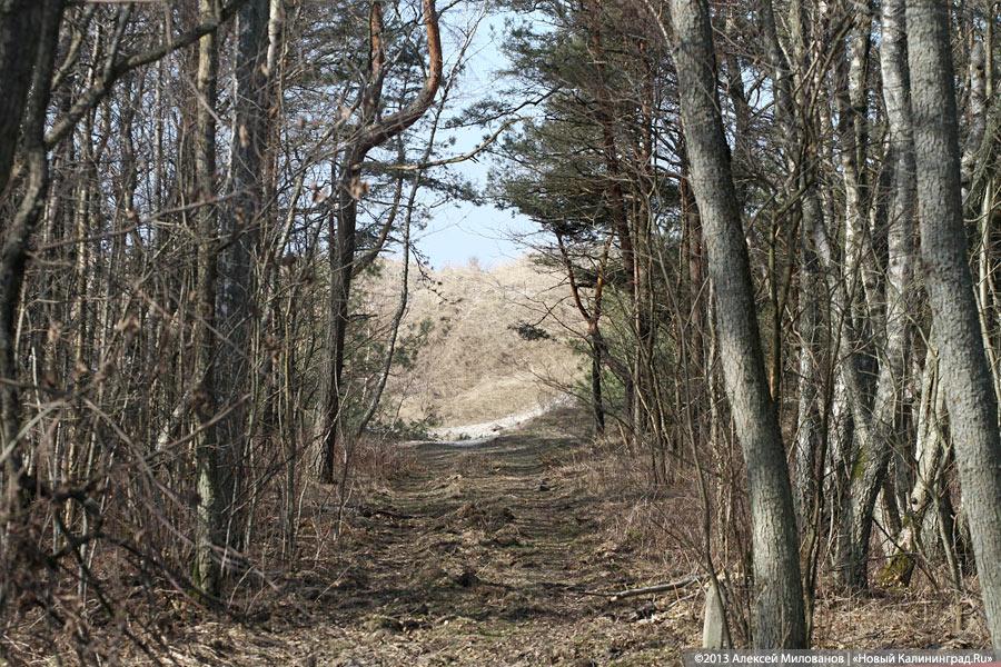 Фото из архива «Нового Калининграда.Ru»