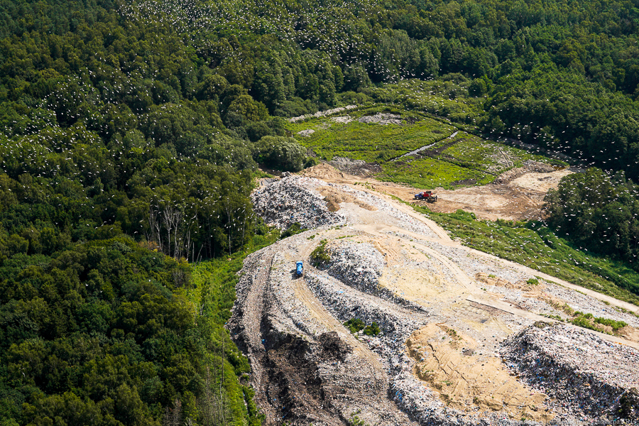 Власти намерены запретить отправку на свалки необработанных промышленных отходов
