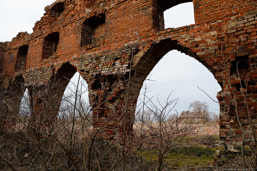 Калининградскую область предлагают российским туристам как альтернативу Европе