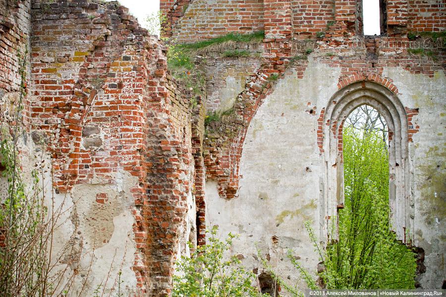 «А денег нет»: в переданной РПЦ кирхе 14-го века в Храброво валяются человеческие кости