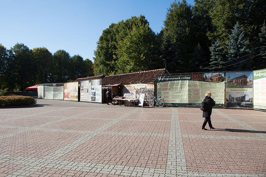 «Яркий пример аварийной ситуации»: почему не все хорошо в Кафедральном соборе