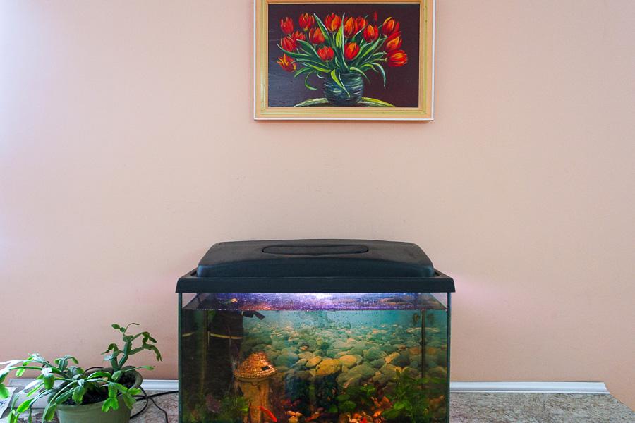 Старый трамвай: как живёт калининградское трамвайное депо