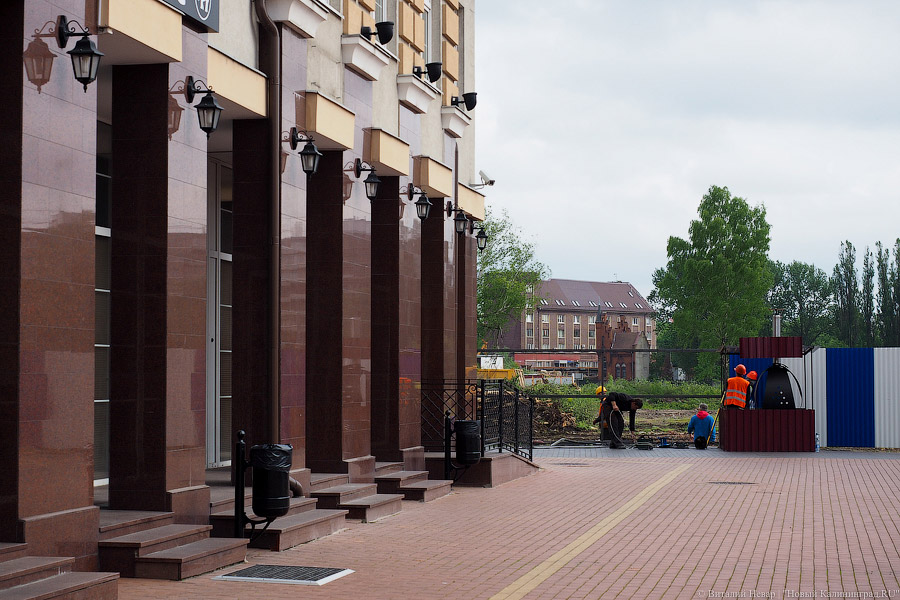 Началась вырубка на территории «Рыбной деревни-2»