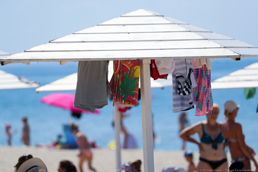 Доходность пляжа в Янтарном за год выросла, несмотря на менее жаркое лето