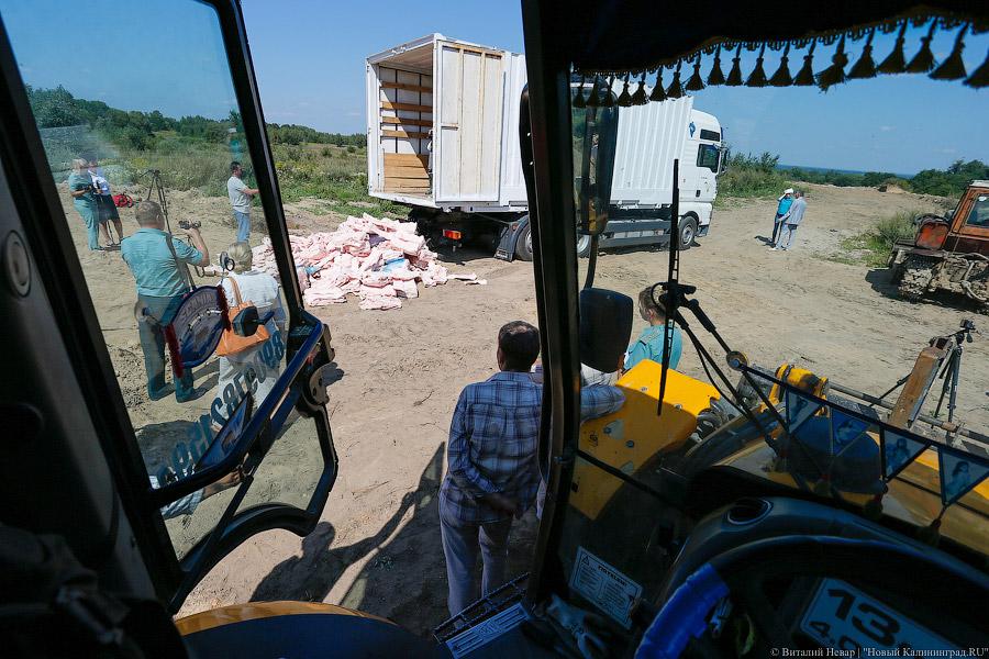 Похороны сала: как под Калининградом санкционную еду уничтожали