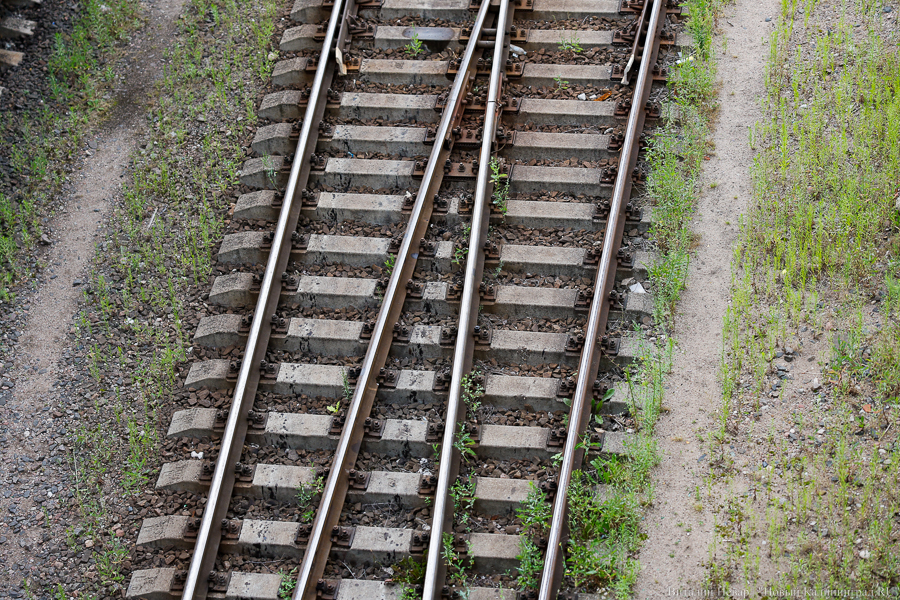 Региональные власти: информация о взрыве на ж/д путях в Калининграде — фейк