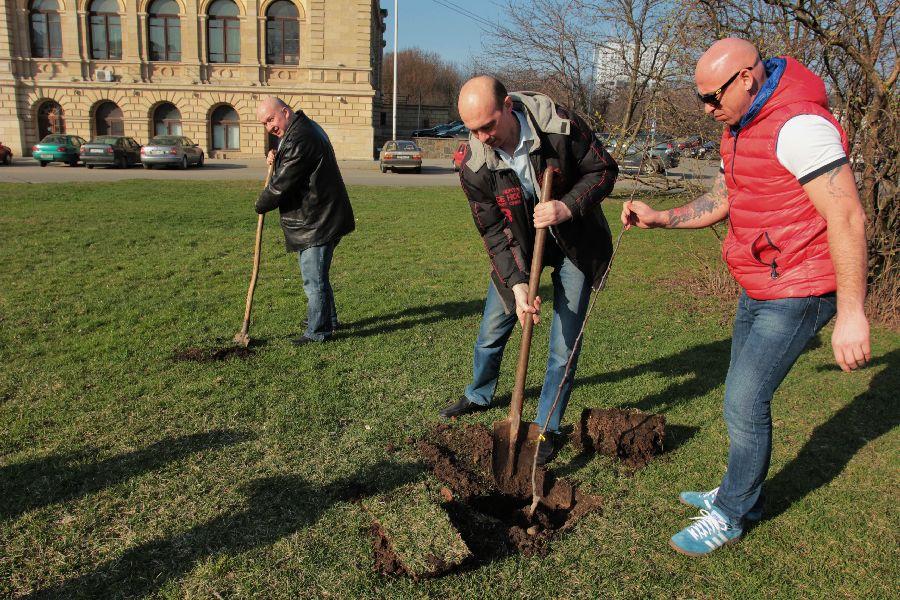 Блогеры посадили около ДКМ десять саженцев плодовых деревьев
