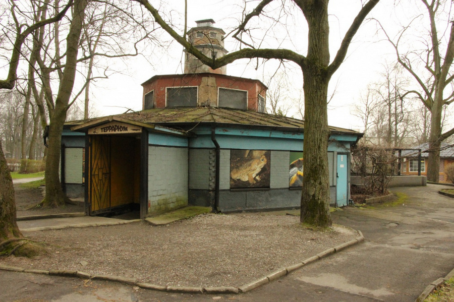 В Калининградском зоопарке из-за аварийного состояния закрыли террариум  (фото)