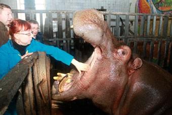 Ярошук уволил директора зоопарка Людмилу Аноку