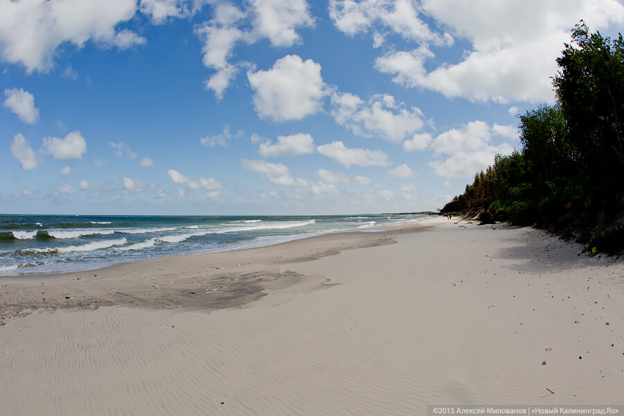 СК проводит проверку по факту смерти мужчины, чье тело выбросило на берег в Отрадном