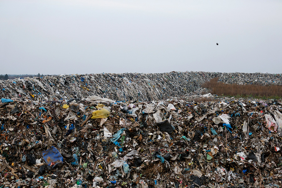 Минприроды: калининградским предприятиям годами позволяли захоранивать отходы за бесценок