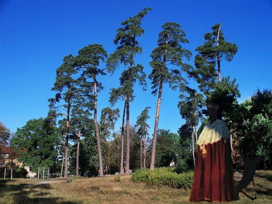 Мэрия назвала победителя конкурса на концепцию благоустройства парка им. Теодора Кроне
