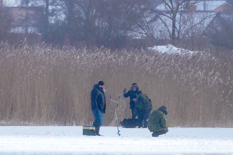 Сноукайтеры вышли на Калининградский залив. Посмотрите, как это красиво