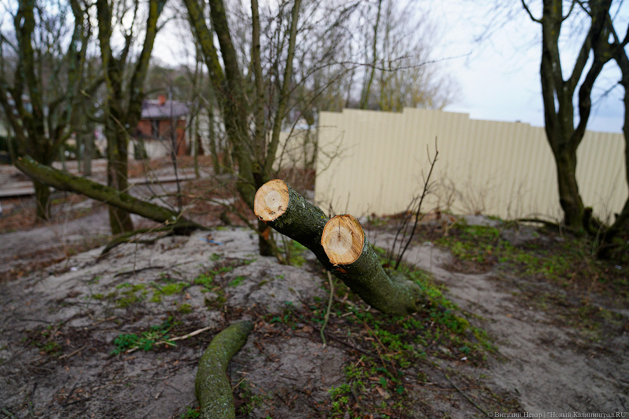 Игра в «Монополь»: как уничтожают авандюну при строительстве кафе в Зеленоградске (фото)