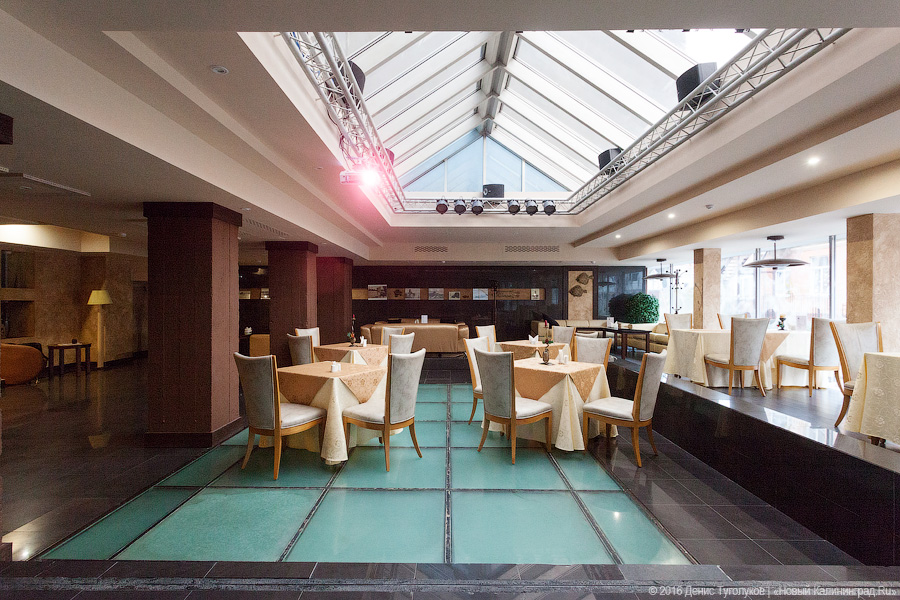 Какая рыба в Балтике плавает быстрее всех: что есть в ресторане «Курена»