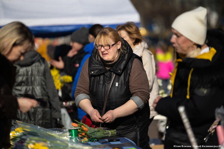 Мимозно-тюльпанный ажиотаж: Калининград накрыла традиционная цветочная лихорадка (фото)