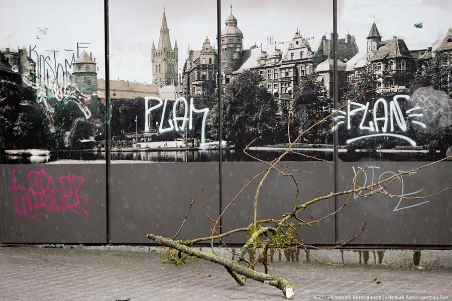 Летающий цирк: последствия урагана в Калининграде (фото)