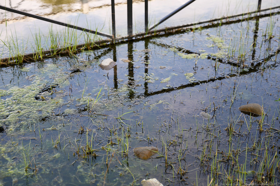 Дорожка для водного велосипеда: как тонут окрестности стадиона в Калининграде