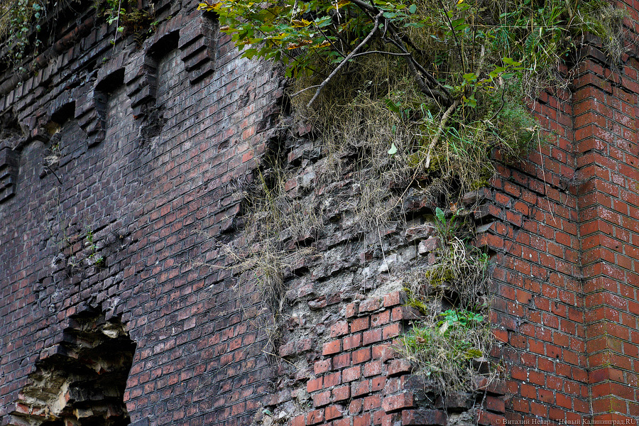 Арендатор форта №8: мы оставим его разрушенным (фото)