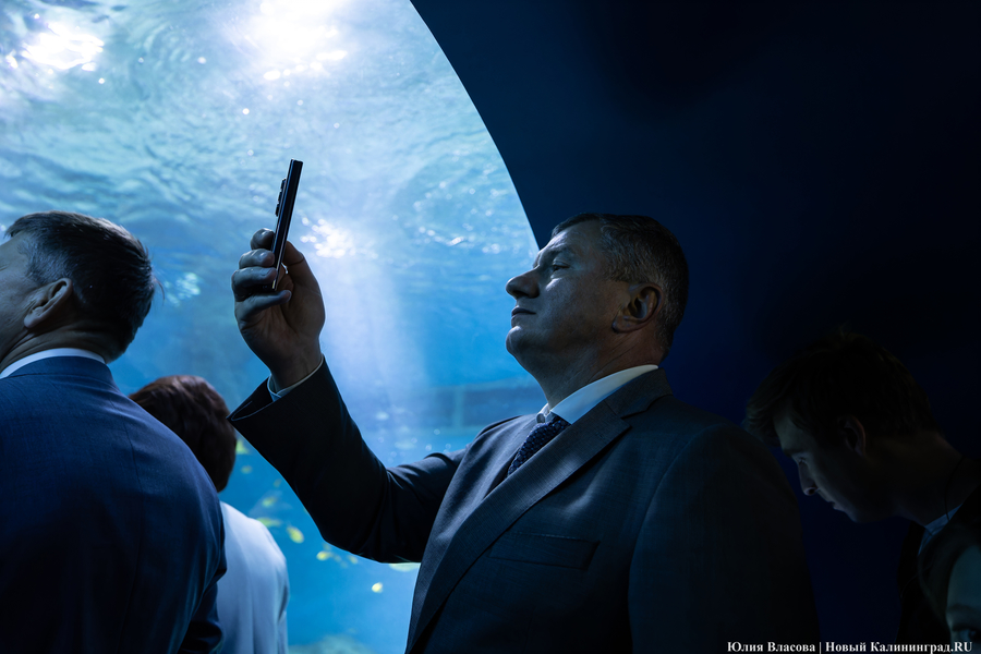 «Земля убывает»: как в Калининграде прошло официальное открытие «Планеты Океан»