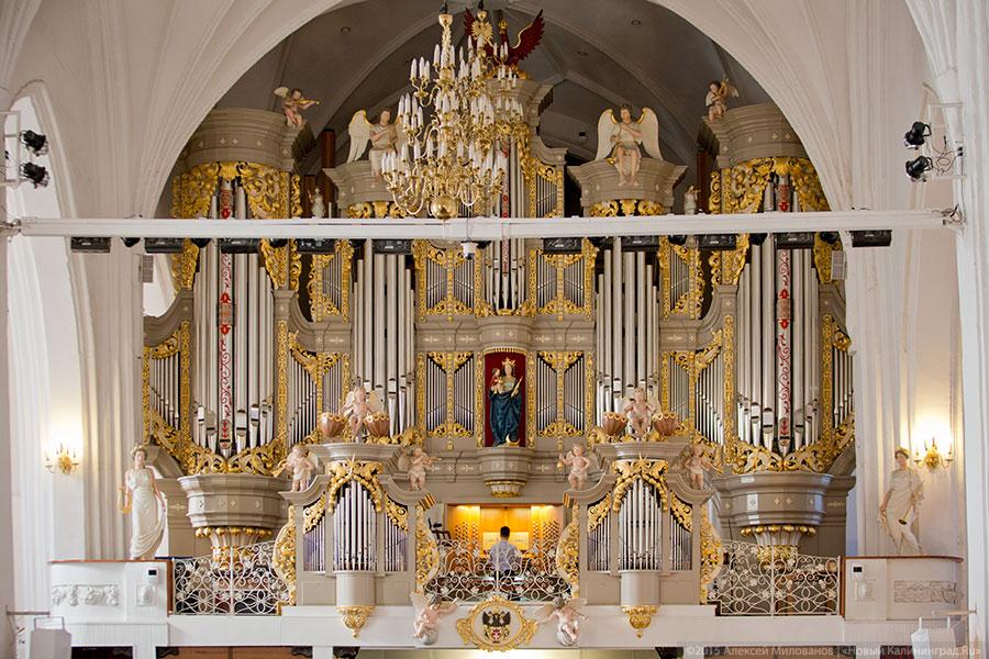 «Яркий пример аварийной ситуации»: почему не все хорошо в Кафедральном соборе