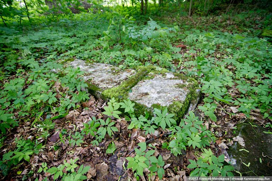 Без окон и дверей: законсервированная Кирха в Домново начала разрушаться
