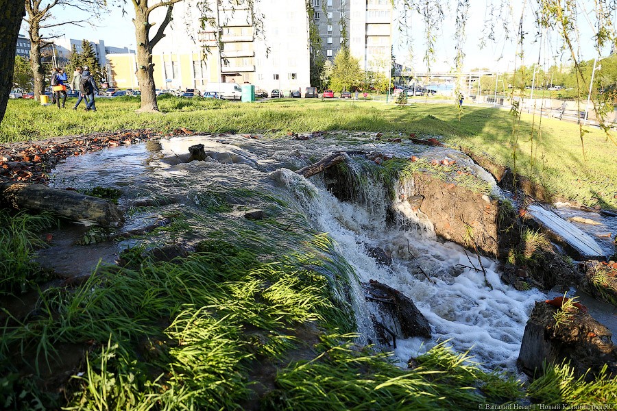 Набережная вышла из берегов: фоторепортаж с затопленной Трибуца