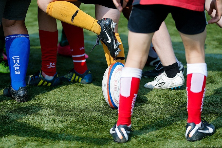 Фото — Виталий Невар, «Новый Калининград»